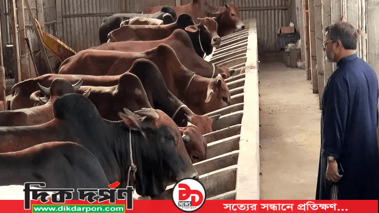 কুড়িগ্রামে কোরবানির জন্য প্রস্তুত পোঁনে দুই লাখ পশু