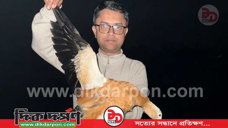 কুড়িগ্রামে সার্কেল এএসপির অভিযানে বিলুপ্তপ্রায় পরিযায়ী হাঁস উদ্ধার ও অবমুক্ত