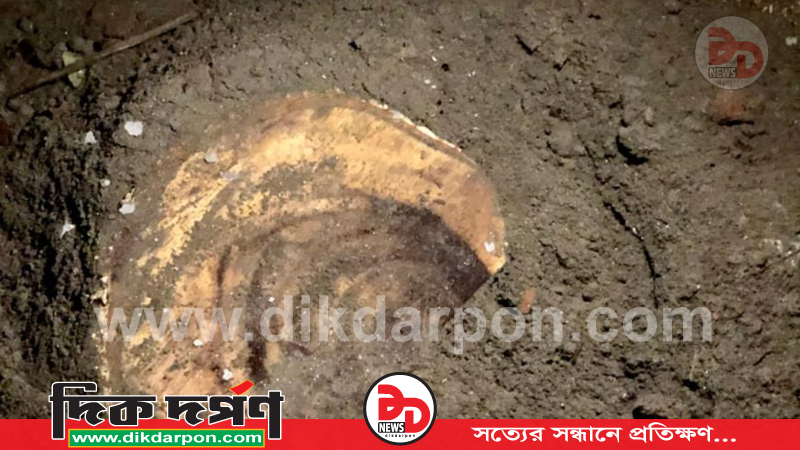 ফুলবাড়ীতে সরকারি গাছ কর্তন, উপজেলা নির্বাহী কর্মকর্তা বরাবর অভিযোগ দায়ের