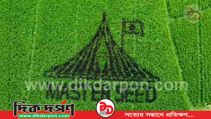 কুড়িগ্রামে ধানক্ষেতে জাতীয় স্মৃতিসৌধের নকশা ফুটিয়ে তুললেন স্কুলশিক্ষক