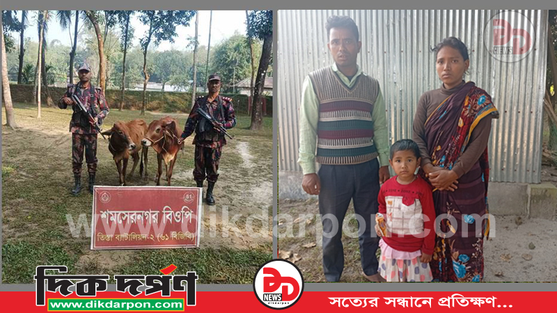 পাটগ্রামে অবৈধভাবে সীমান্ত পারাপারের সময় তিনজন বাংলাদেশী নাগরিক ও ভারতীয় গরু আটক