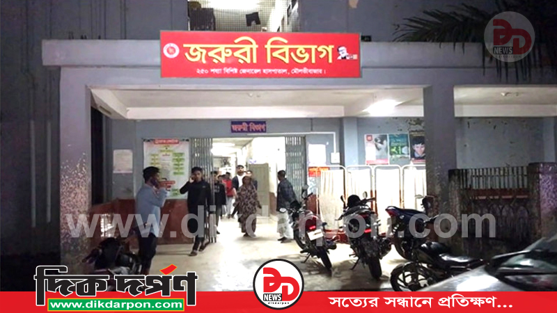 বড় ভাইয়ের ছুরিকাঘাতে প্রাণ গেল ছোট ভাইয়ের