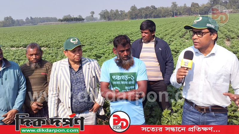 মাঠে বিএডিসি, নিশ্চিন্ত চাষি পঞ্চগড়ে মানসম্মত 
