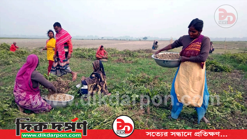 কুড়িগ্রামের ৪০০ চরাঞ্চলে বৈশাখের আমেজ নেই ছিটেফোঁটাও