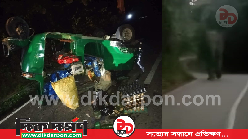 কাপ্তাই রাঙ্গামাটি আসামবস্তি সড়কে বন্য হাতির আক্রমণে অটোরিকশা খাদে একজনের মৃত্যু