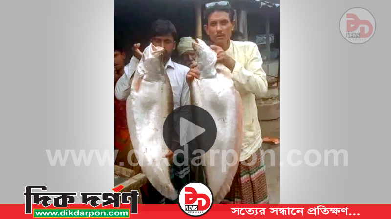 কুড়িগ্রামের ব্রহ্মপুত্রে অক্সিজেন সিলিন্ডার লাগিয়ে ৮ কেজির ২ চিতল ধরলেন এক জেলে
