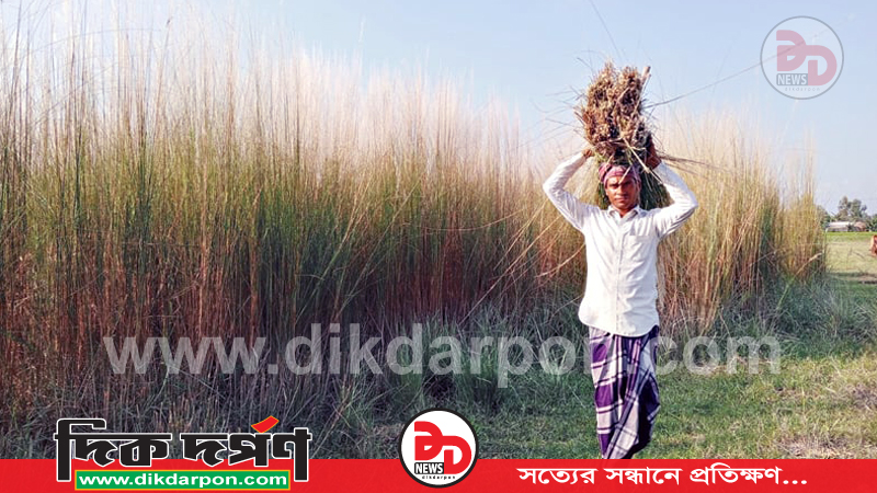 কাশফুলেতেই জীবন-জীবিকা, হচ্ছে বাড়তি আয়ের সুযোগ