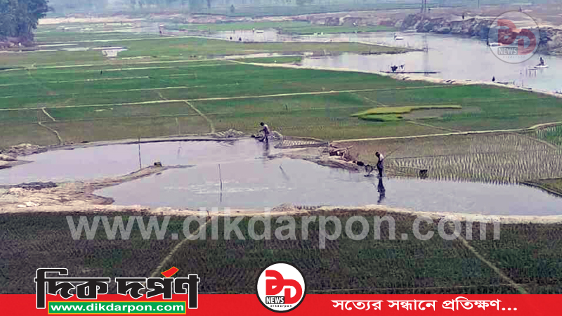 পঞ্চগড়ে নদ-নদীতে বেড়েছে বোরোর আবাদ, কিটনাশকে ধংস জীববৈচিত্র