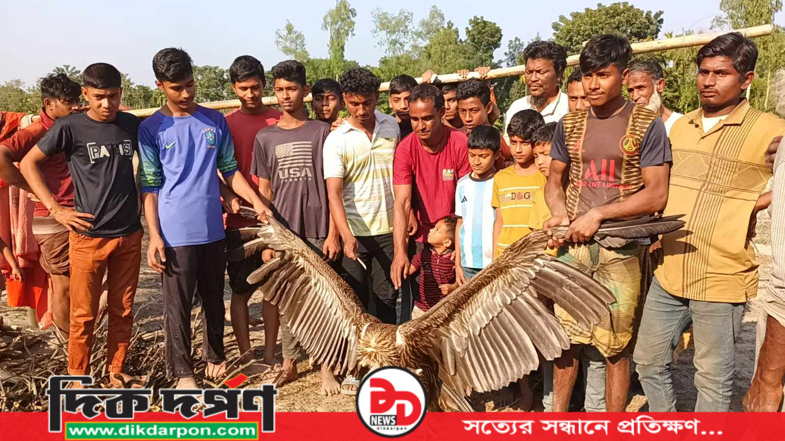 ফুলবাড়ীতে দুর্লভ প্রজাতির শকুন দেখতে উৎসুক জনতার ভীড়