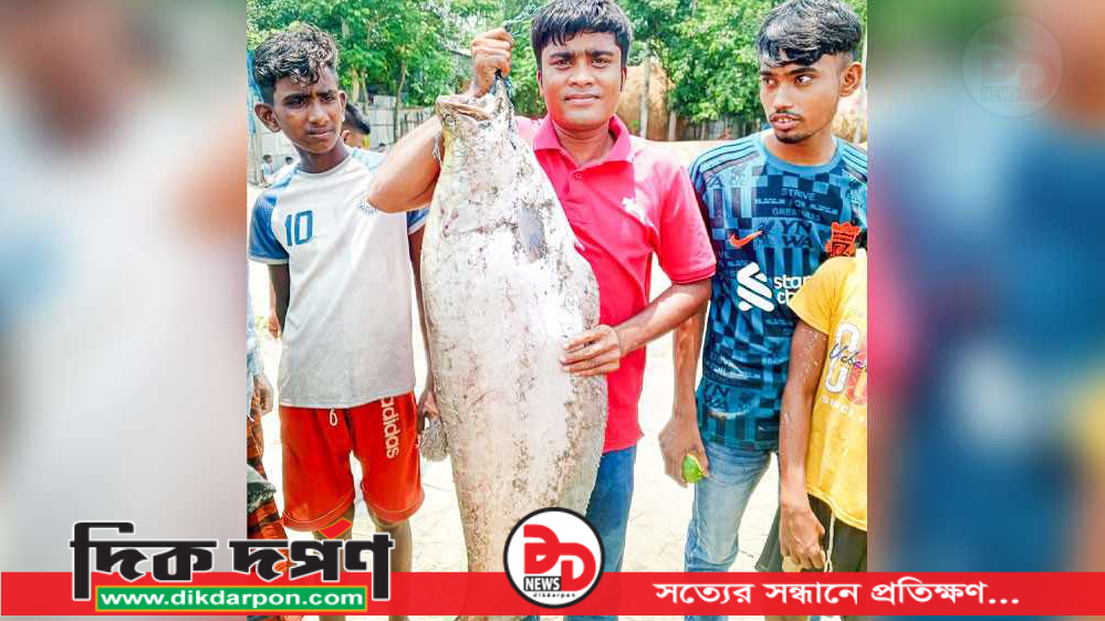 ব্রহ্মপুত্রে বড়‌শিতে আটঁকালো সাড়ে ৯ কে‌জি চিতল