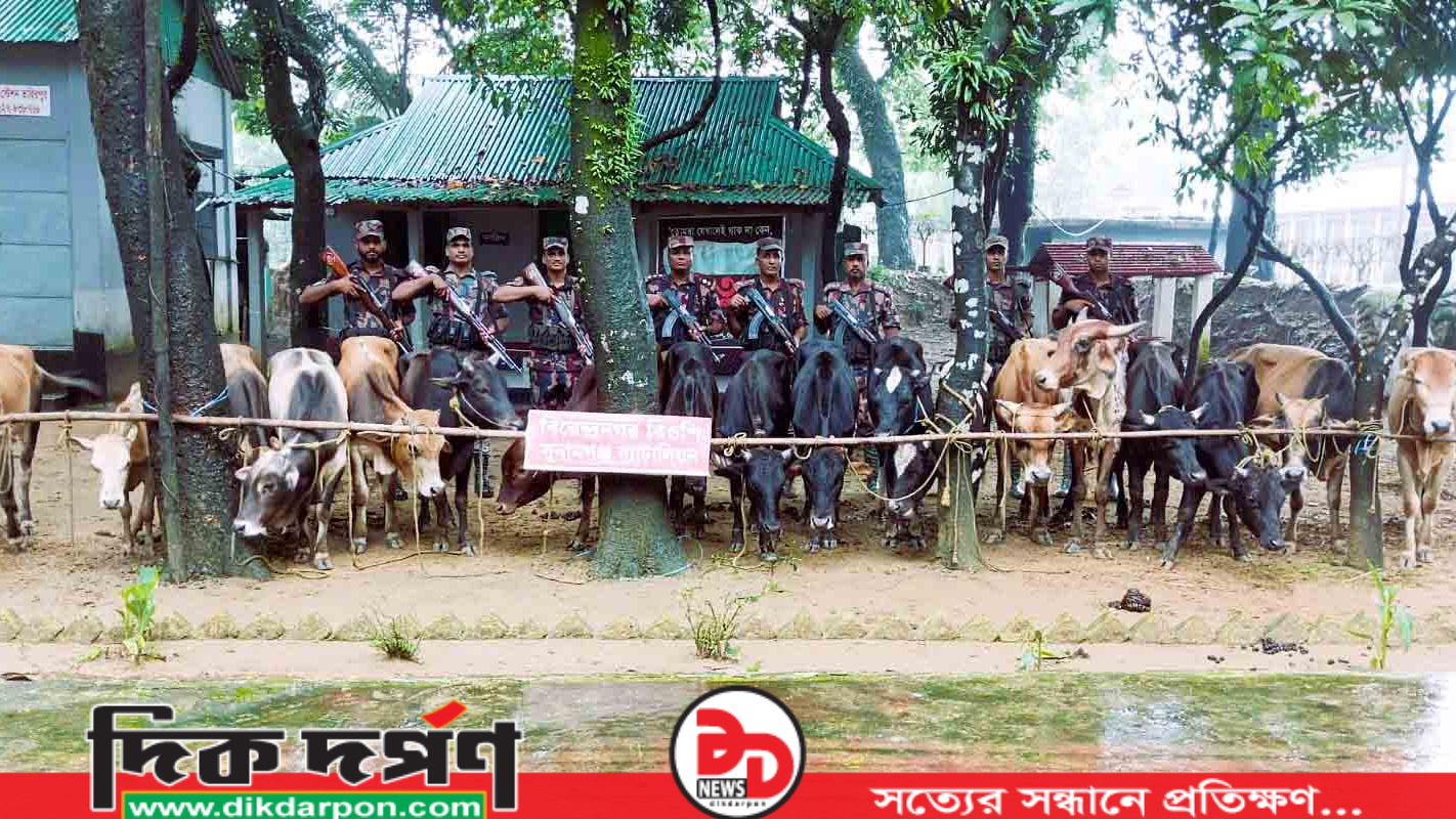 সীমান্তে ট্রলার বোঝাই ভারতীয় গবাদি পশুর চালান জব্দ