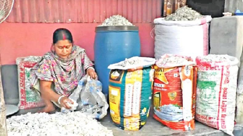 কুড়িগ্রামে মাছের আঁশ রপ্তানি, আয় হচ্ছে লাখ টাকা