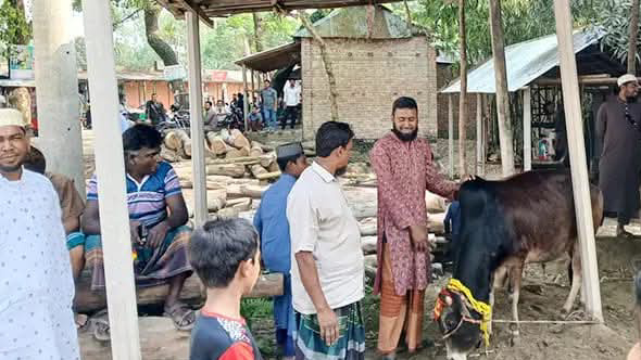 ৫০ বছর পর কুড়িগ্রামের এক বাজারে প্রথমবারের মতো গরুর মাংস বিক্রি শুরু